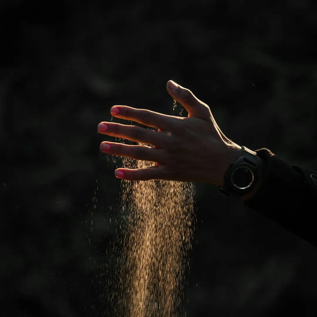Motion Graphics