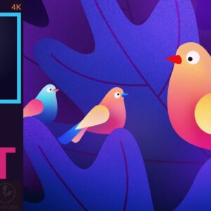 2D Graphic Design
